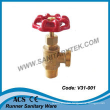 Brass Boiler Drain Valve (V31-001)